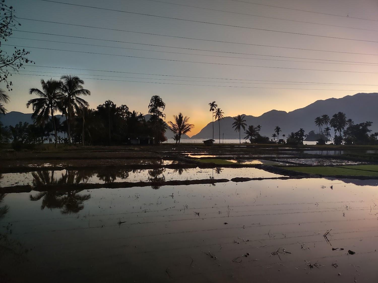 Cover Image for Arlen Nova's Paradise Homestay