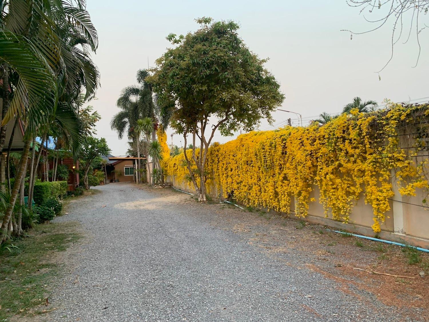 Cover Image for ด่านช้าง กรีนวิว รีสอร์ท
