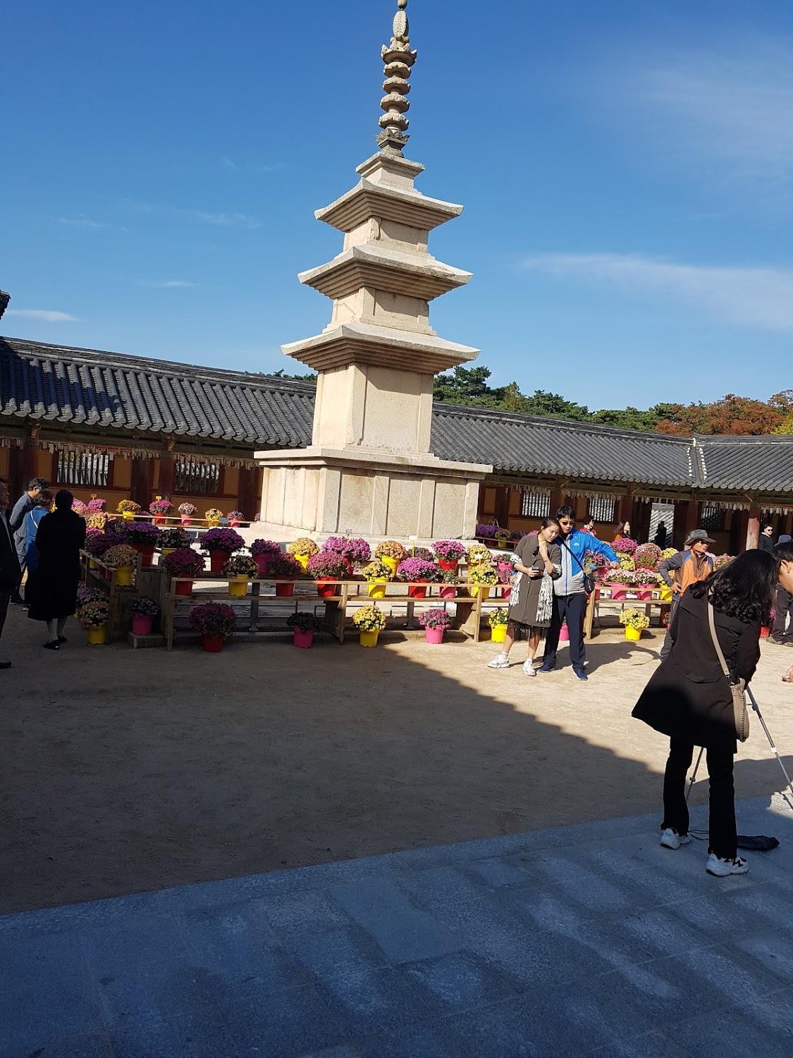 Cover Image for 로하스펜션