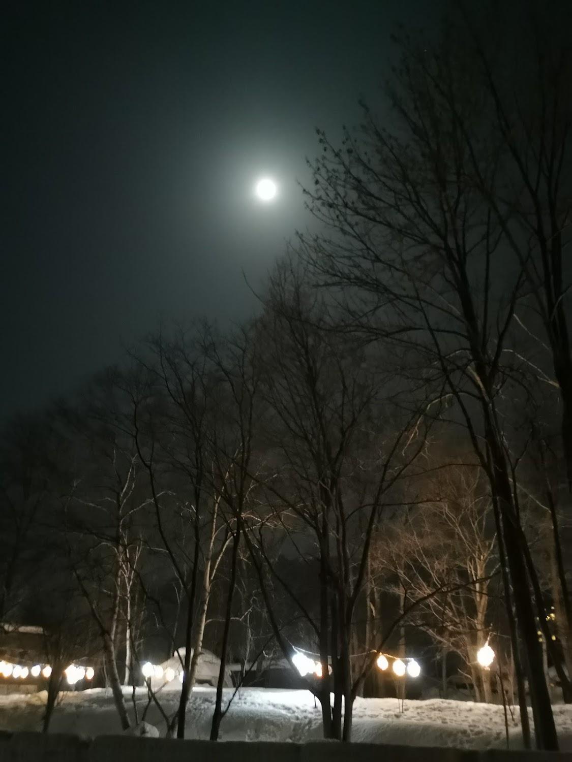 Cover Image for 札幌市定山渓天然温泉MOLINHOTELS501
