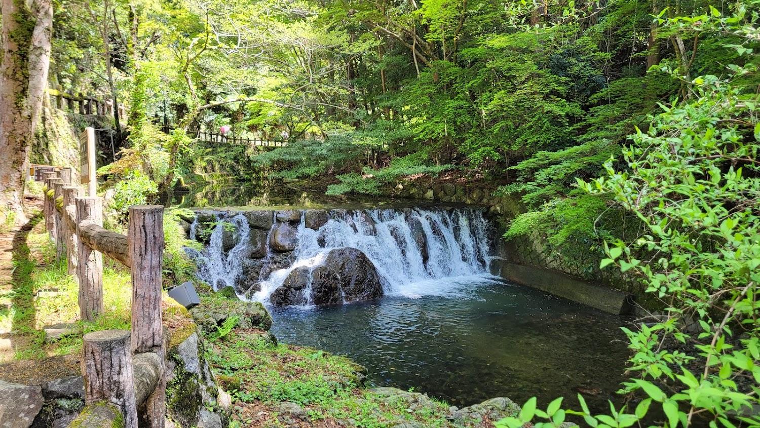 Cover Image for Kankoryoriryokan Momiji