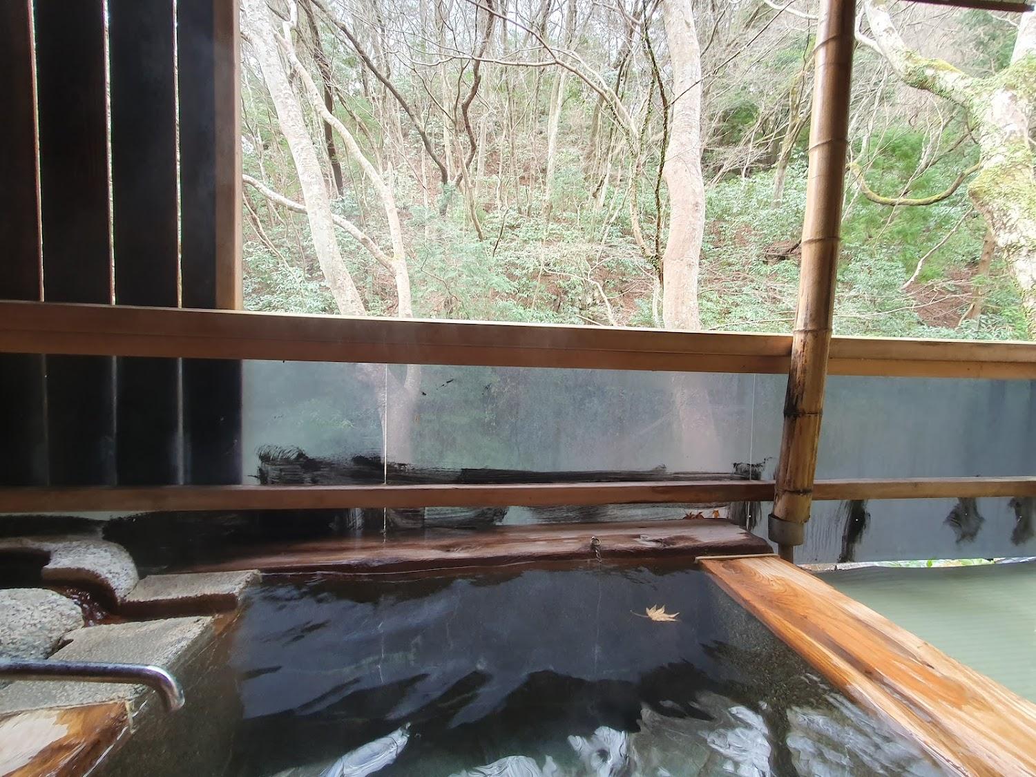 Cover Image for Uoshizu