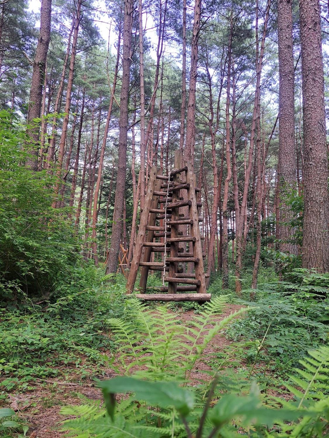Cover Image for Nagata Nature Park