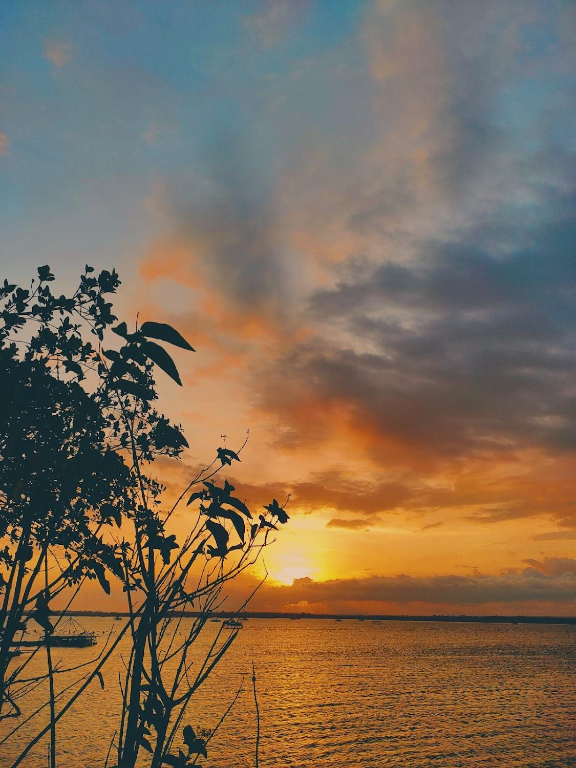 Cover Image for Telune sunset