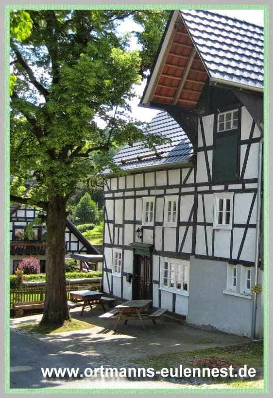 Cover Image for Ortmanns Eulennest