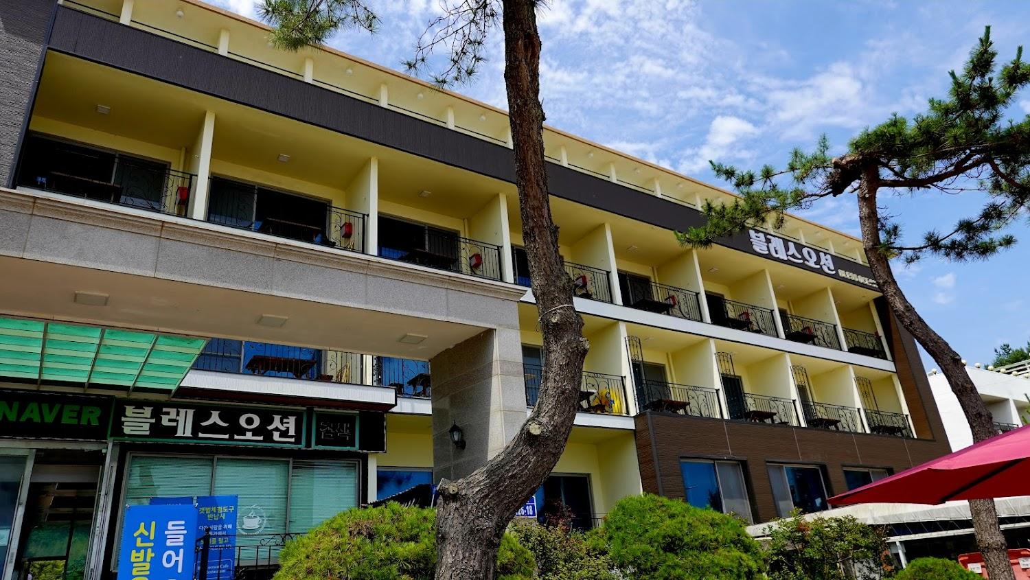 Cover Image for 블레스오션