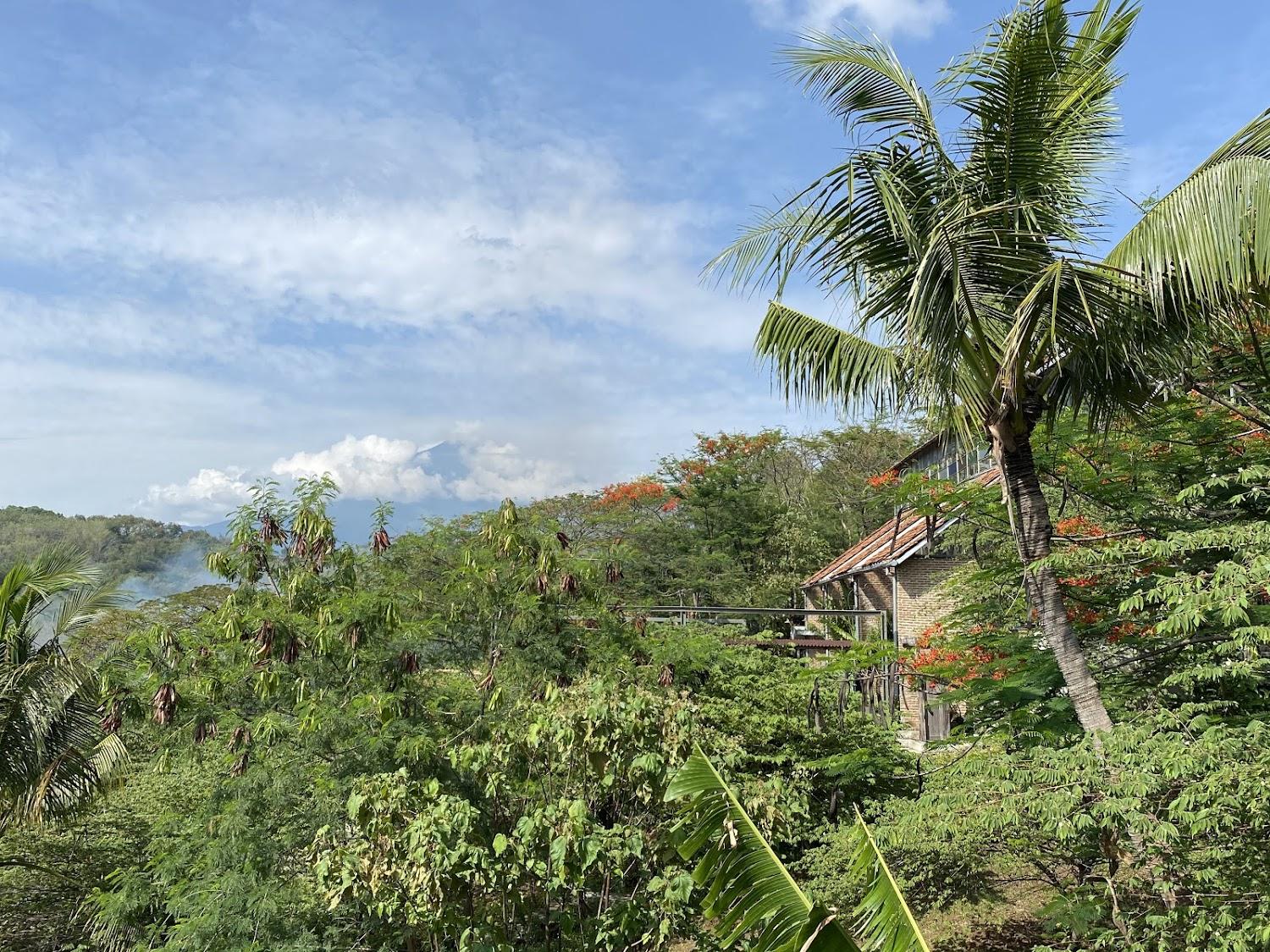 Cover Image for Desa Alamanis Resort Vila