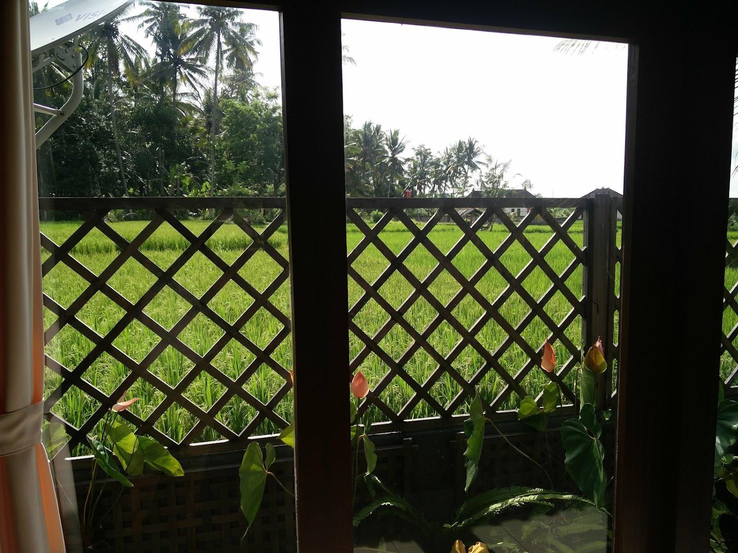 Cover Image for Ubud Luwih Nature Villa