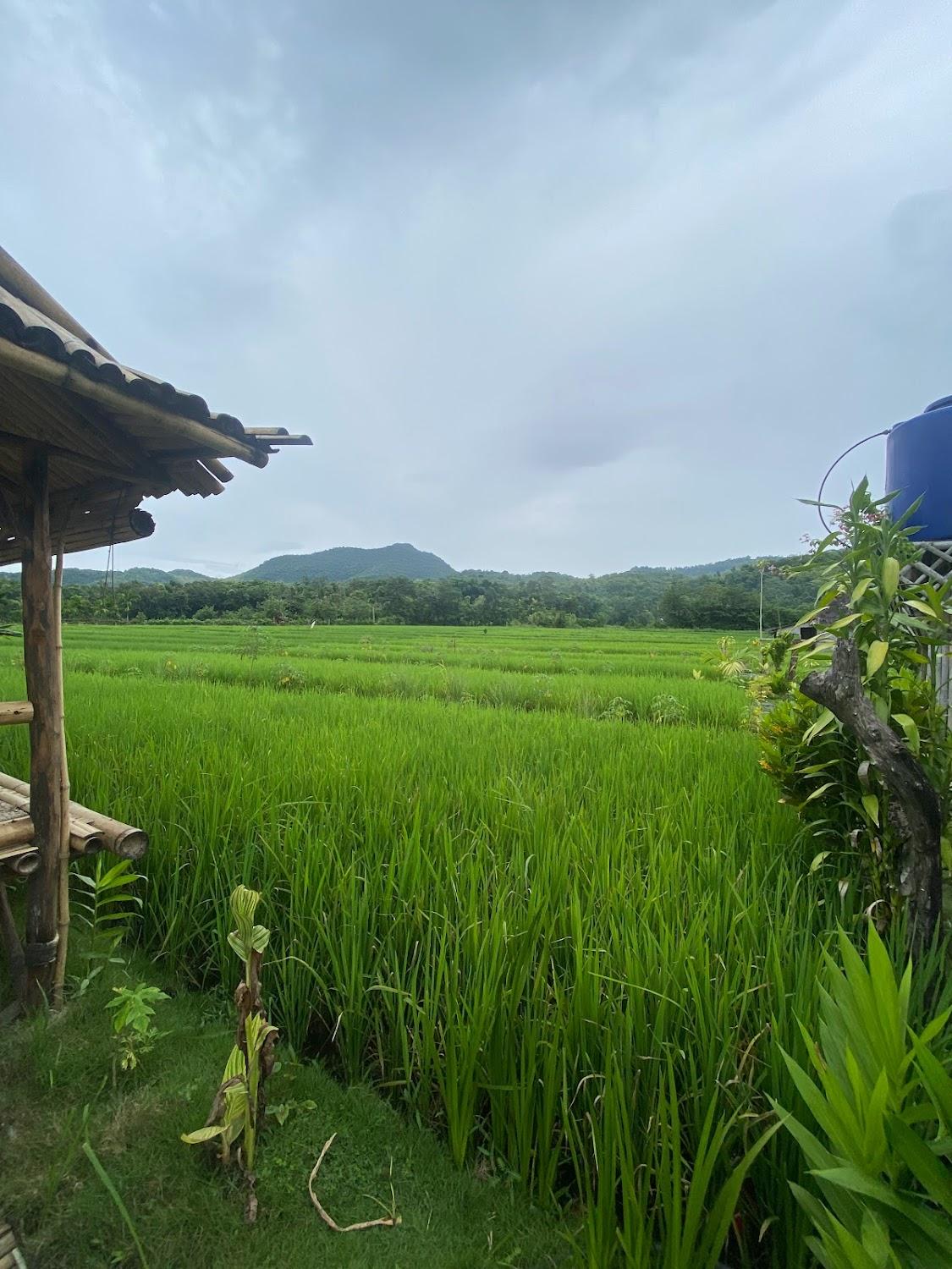 Cover Image for Tado Homestay