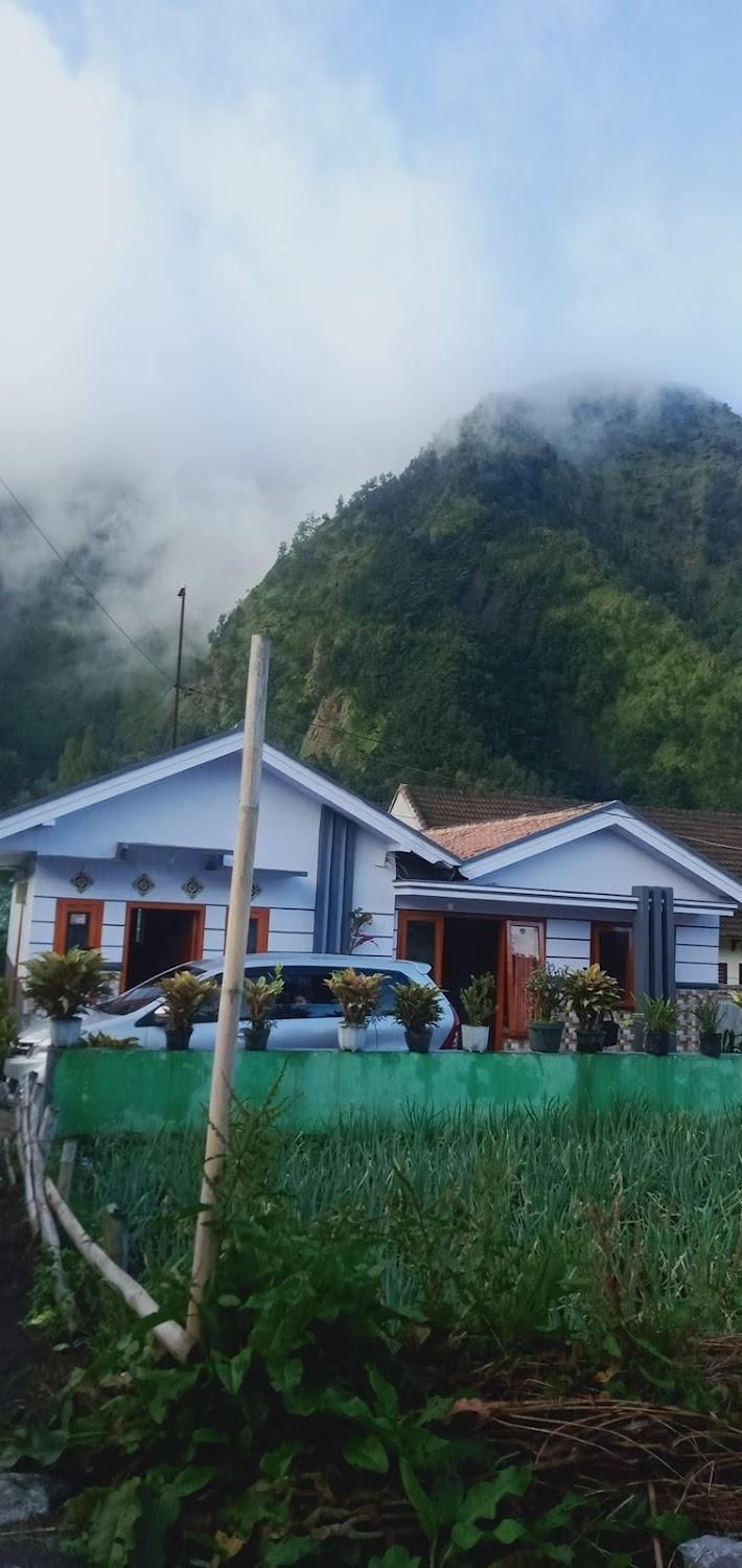 Cover Image for putri angel homstay bromo