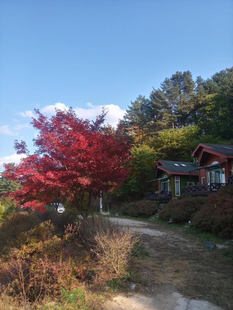 Cover Image for Hongcheon