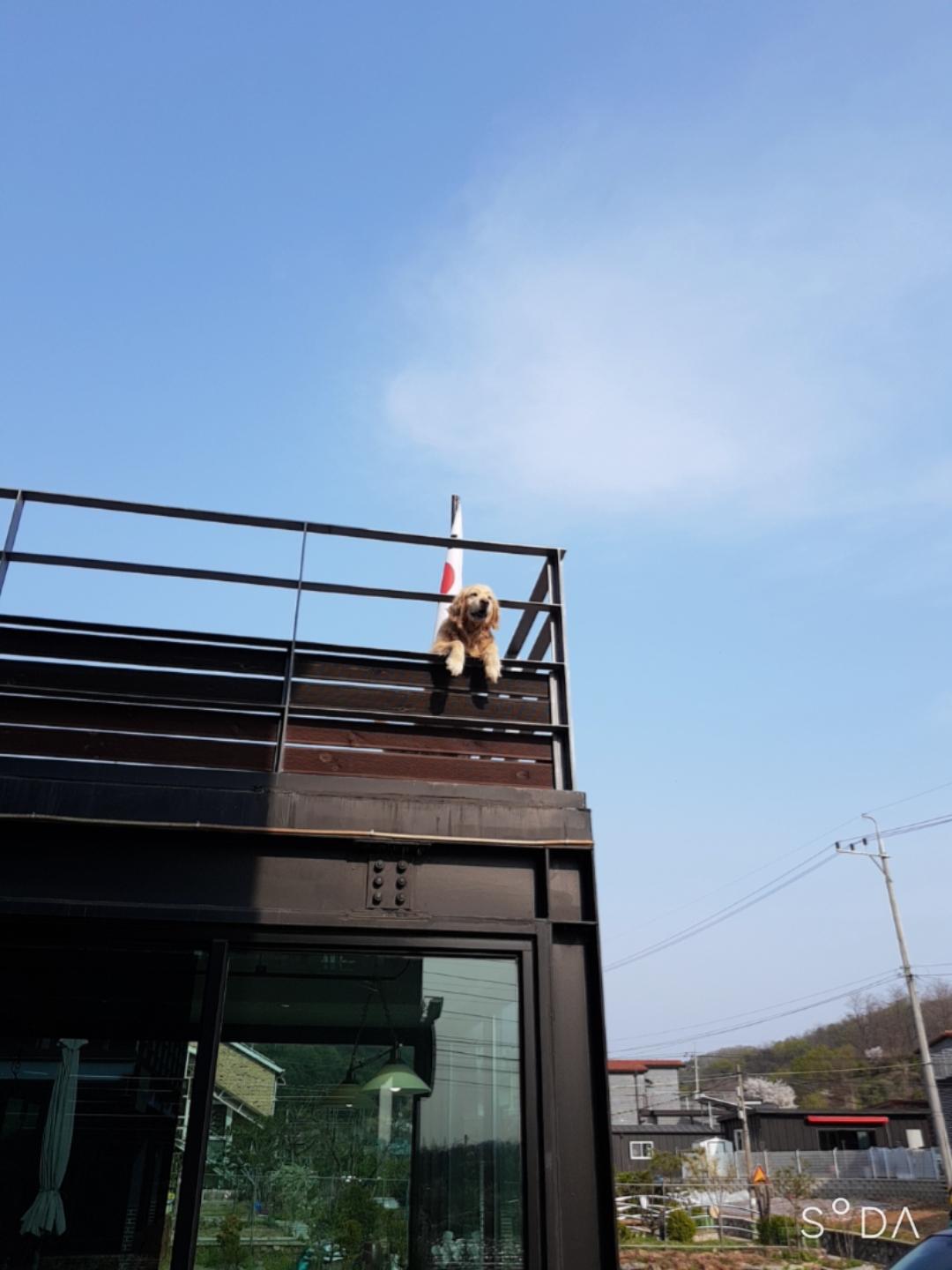 Cover Image for 플랫하우스