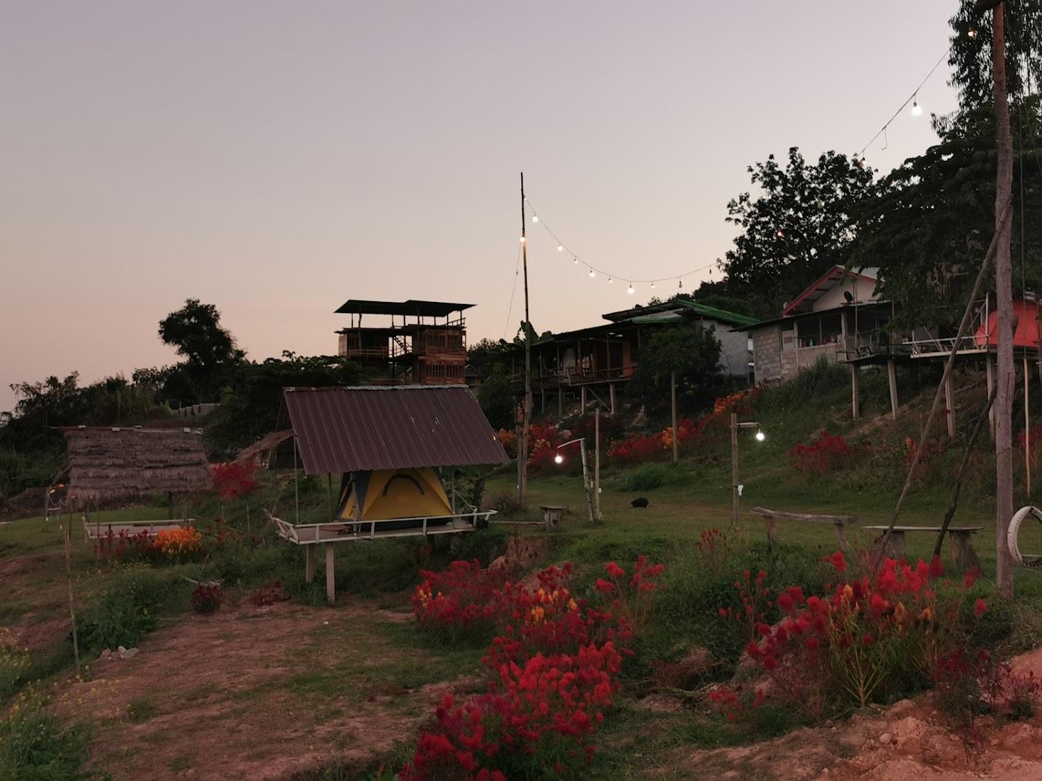 Cover Image for แม่ป้อมโฮมสเตย์ ลานกางเต็นท์ริมโขง