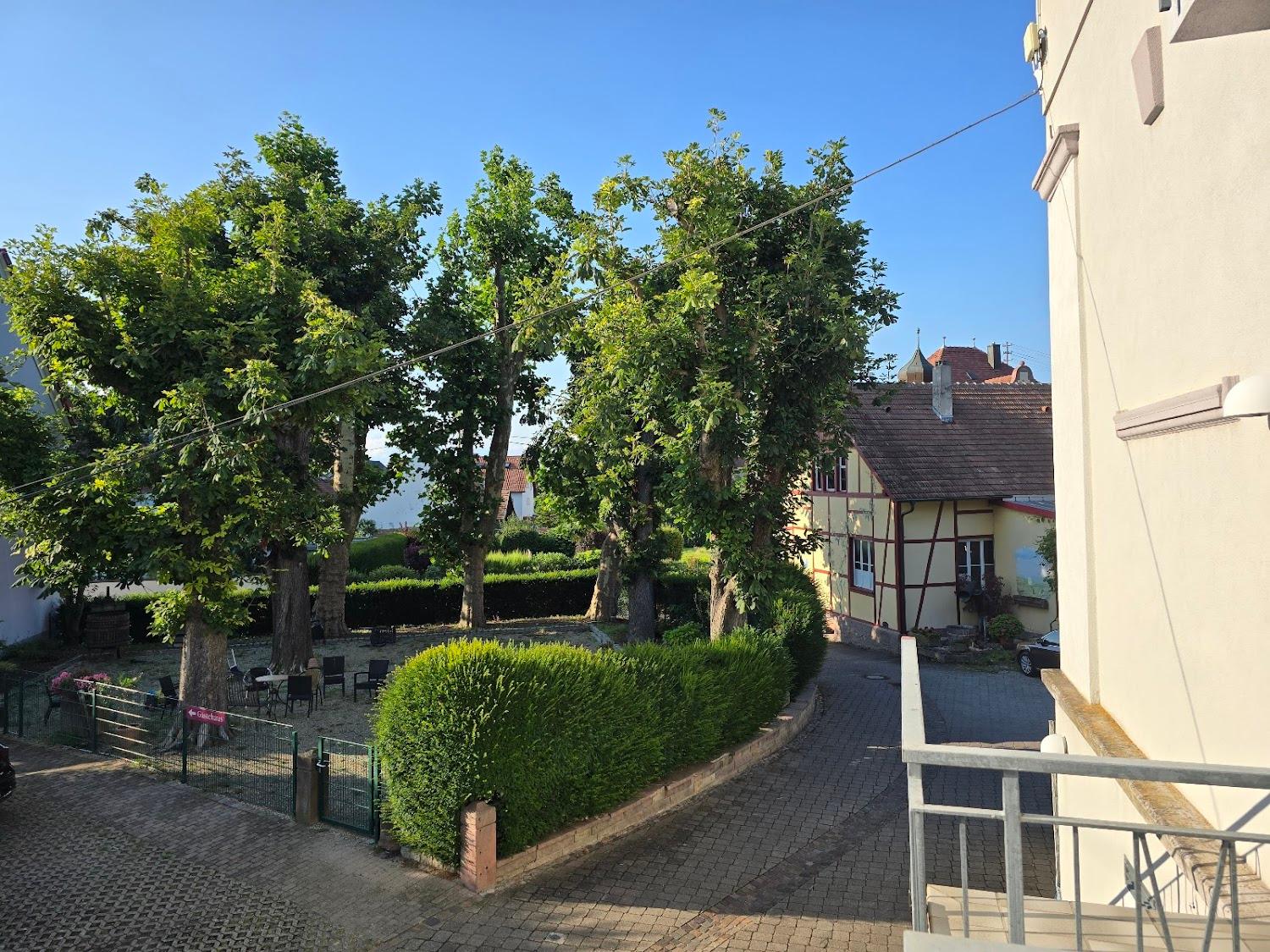 Cover Image for pfauen in endingen