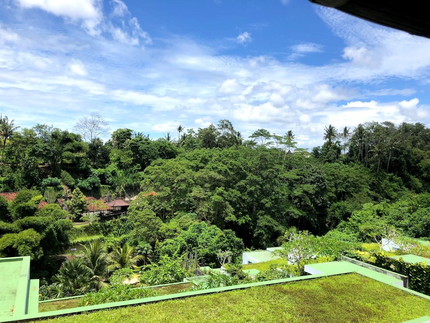 Cover Image for Ubud Corner 88