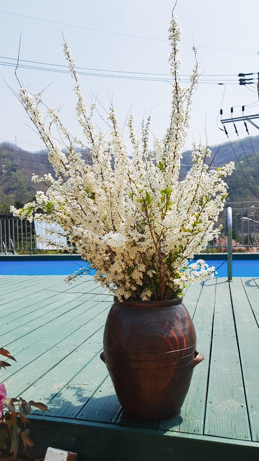 Cover Image for 세라비풀빌라스파펜션
