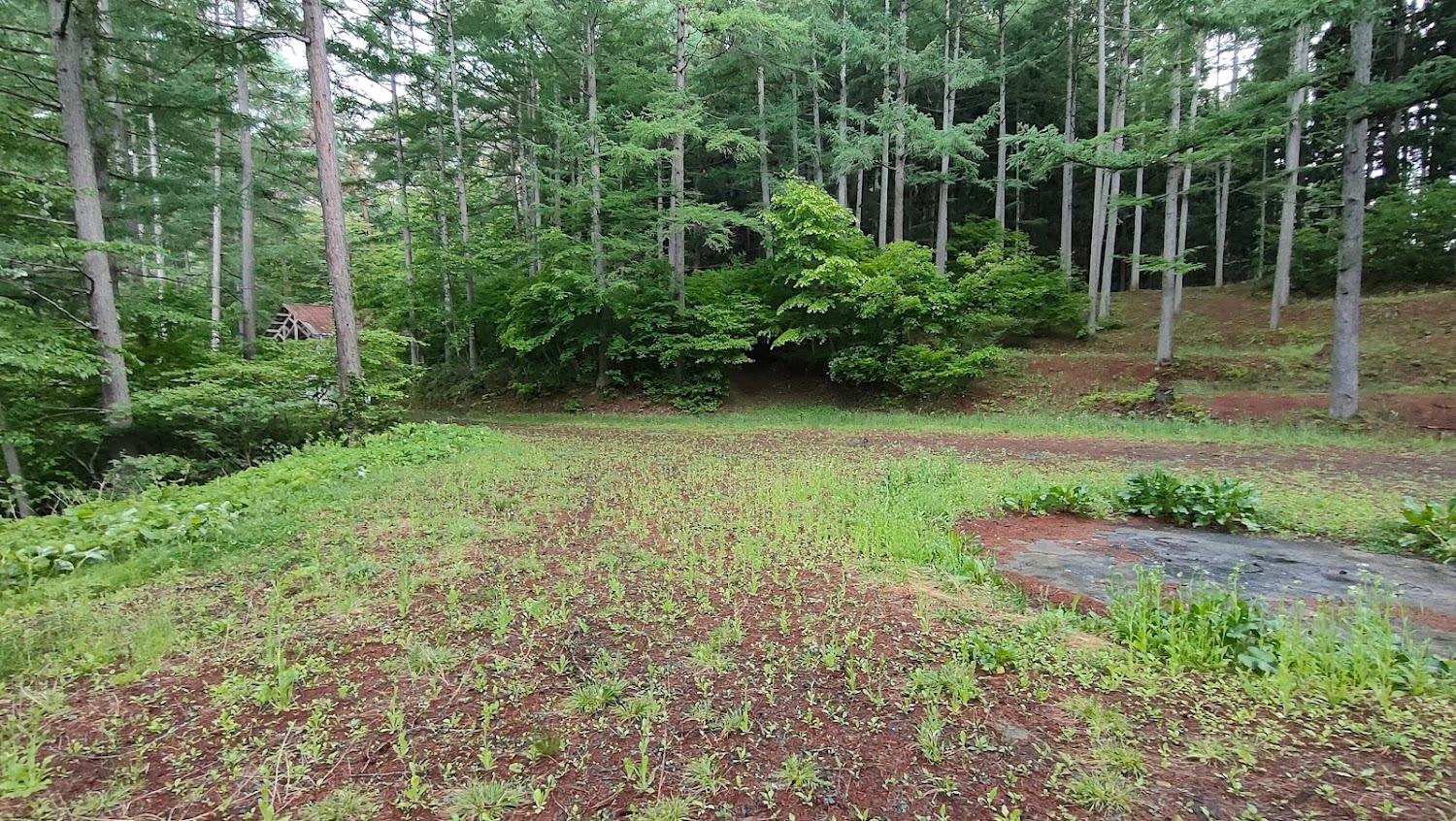 Cover Image for Kenminnomori Camping Ground