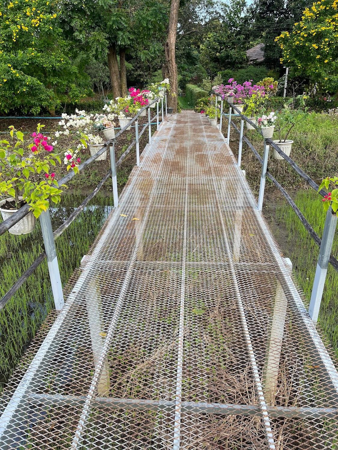 Cover Image for Khao Nam Na Resort