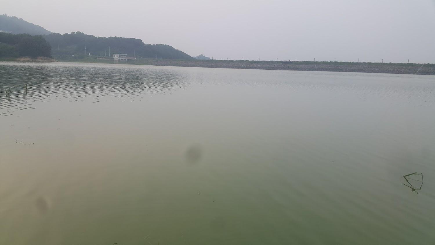 Cover Image for 레이크펜션