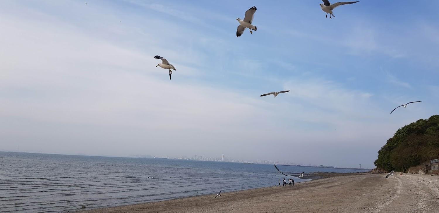 Cover Image for 블루이팬션