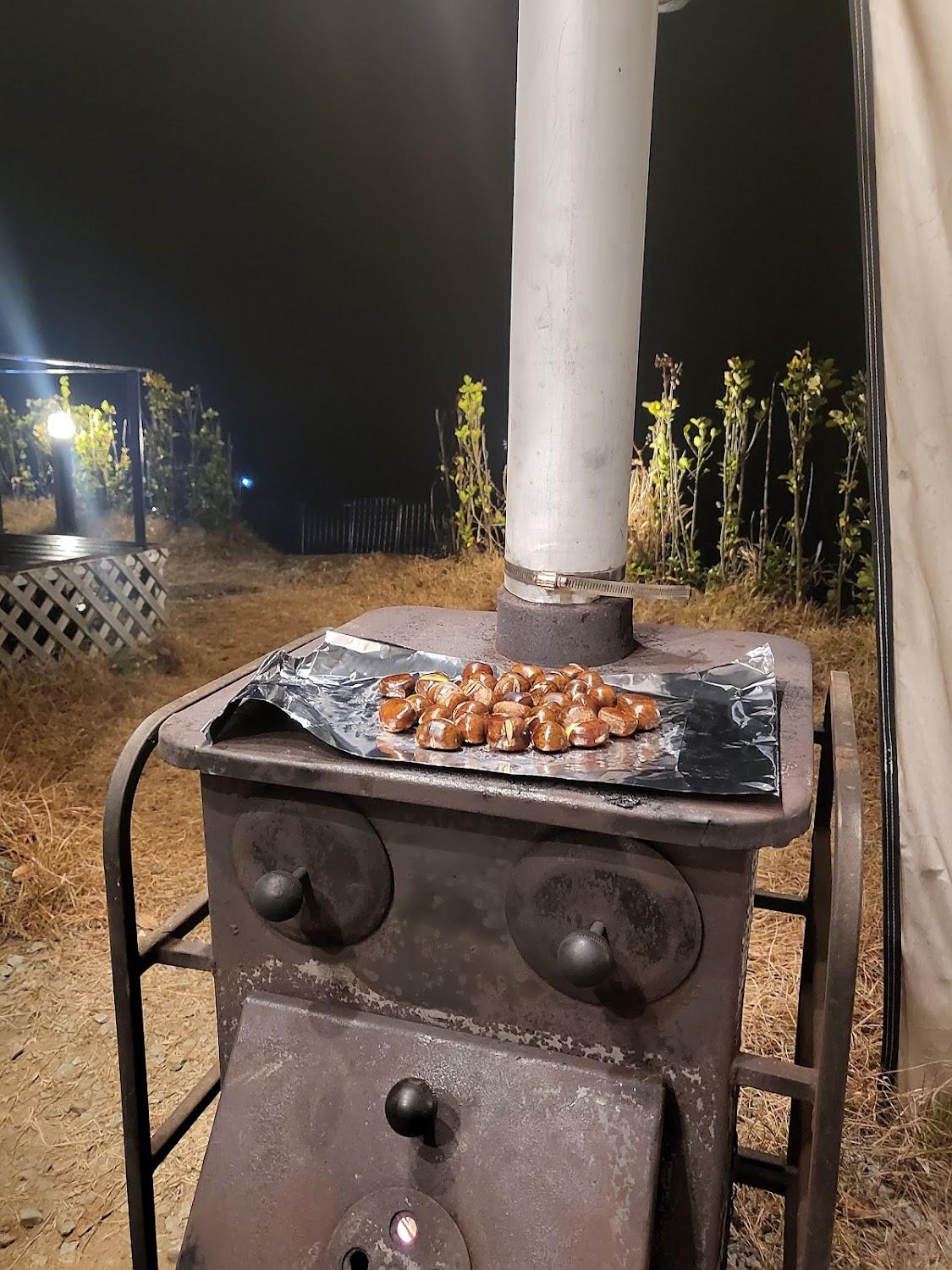 Cover Image for 배때기네하우스