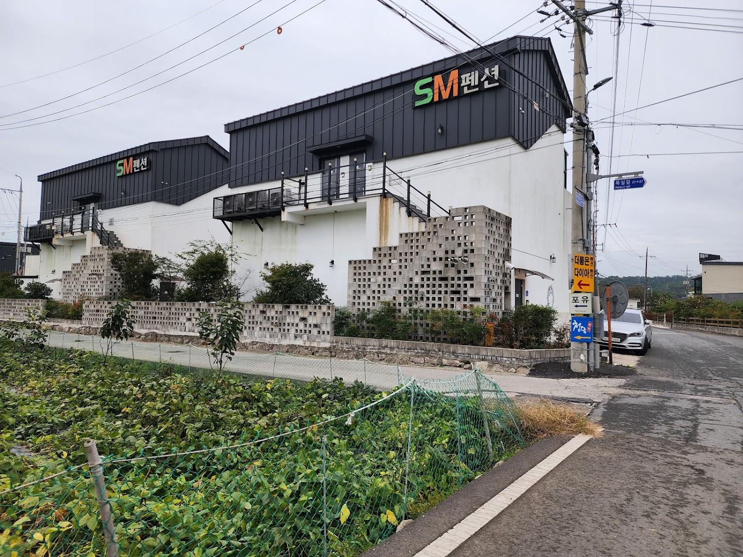 Cover Image for SM펜션