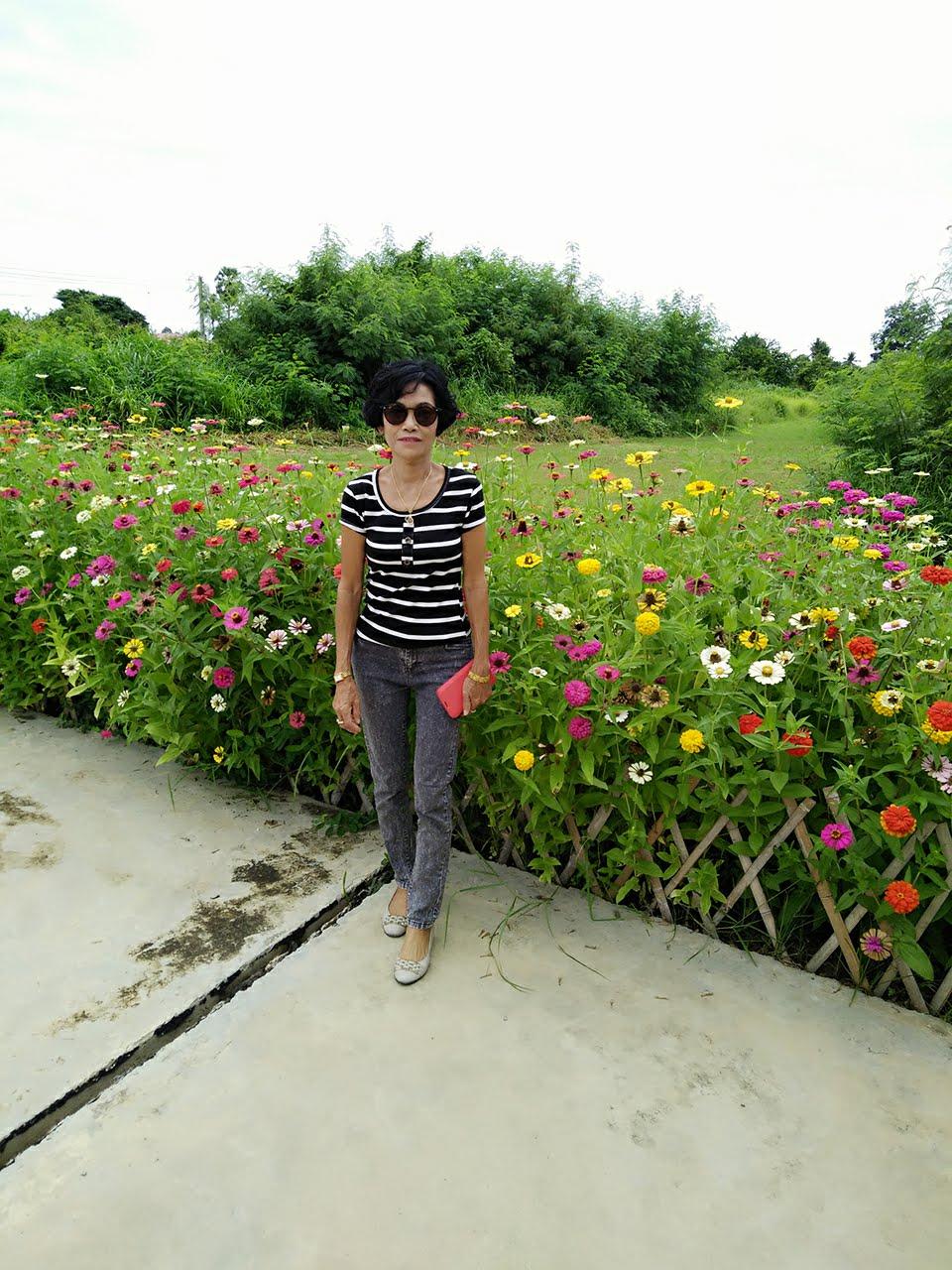 Cover Image for โรงแรม ทอแสงการ์เด้น