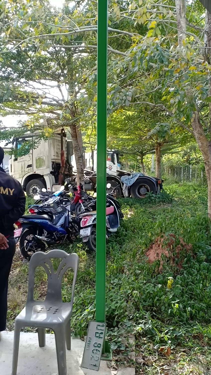 Cover Image for ท่าไทร รีสอร์ท