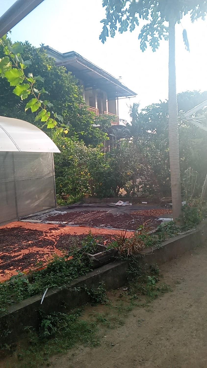 Cover Image for HOMESTAY POLENG
