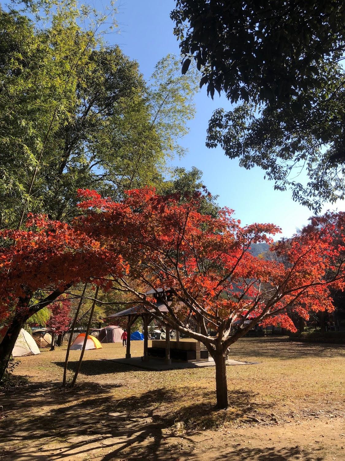 Cover Image for Tanabe-Kawayu Camping Ground