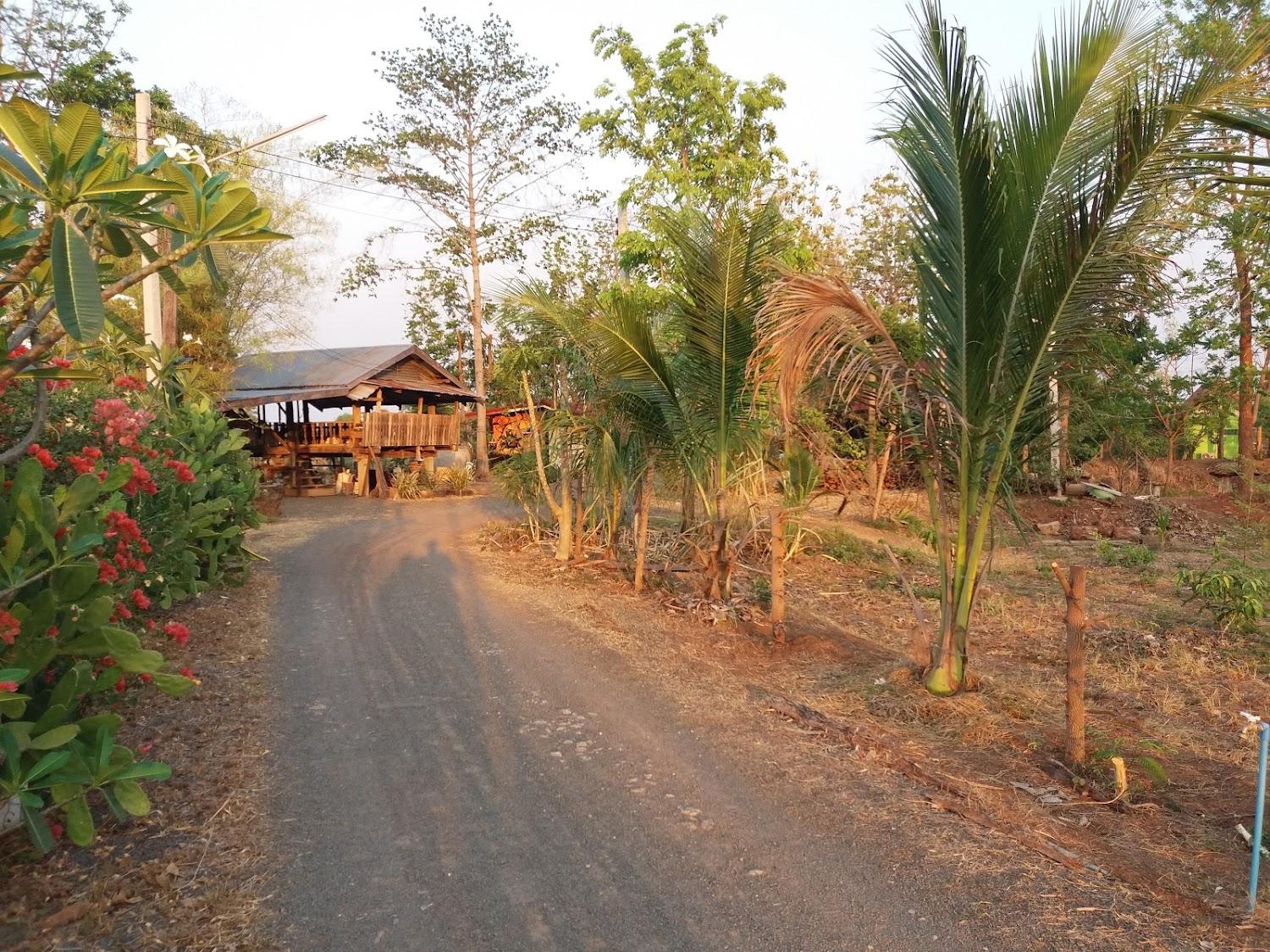 Cover Image for relaxview resort