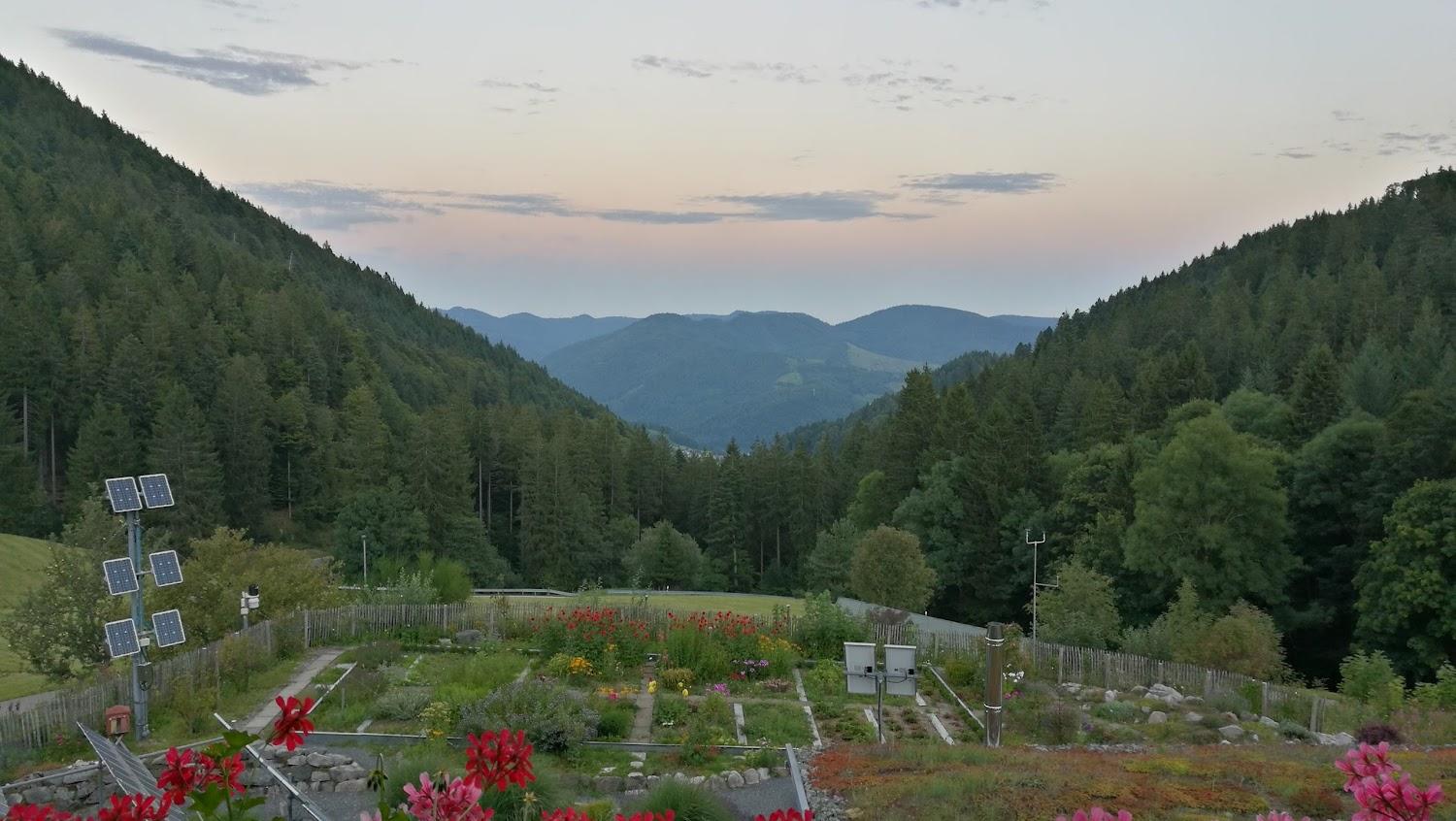 Cover Image for Pension Haus Sonne