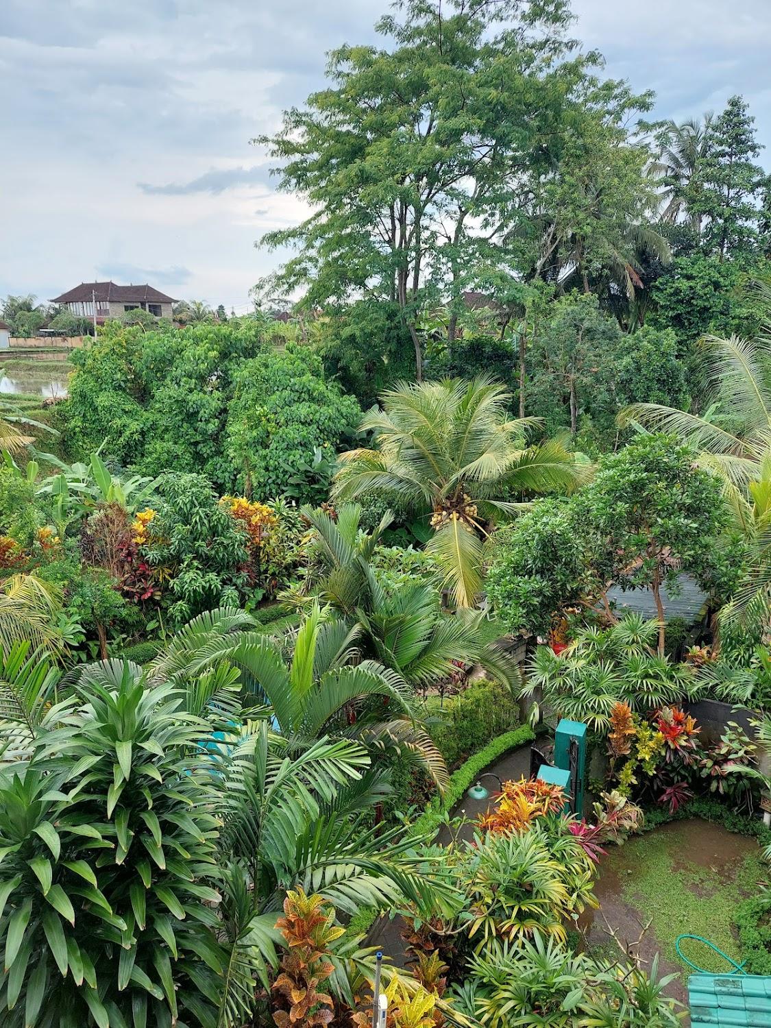 Cover Image for Teblin House Penestanan