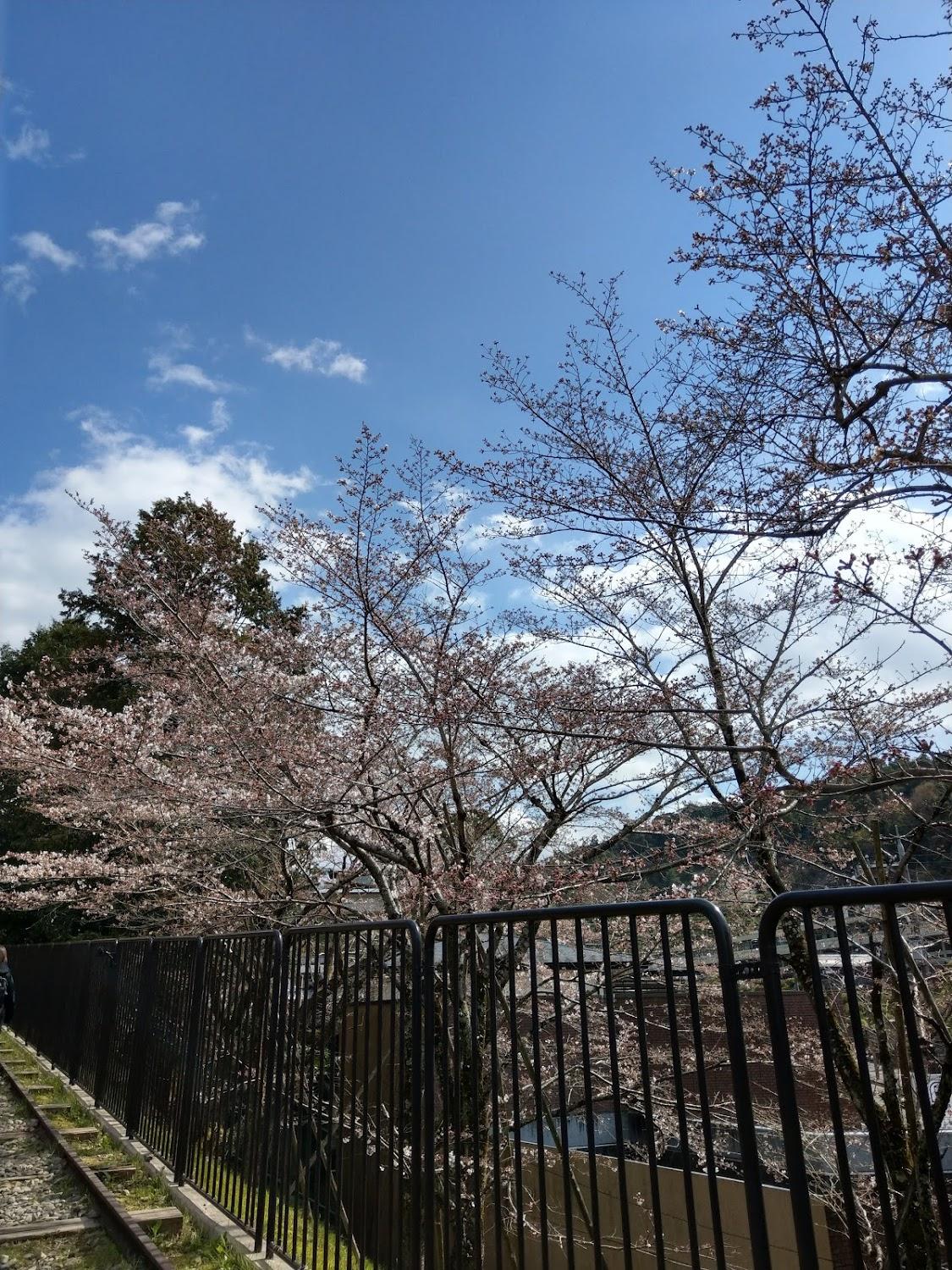 Cover Image for Azukiya