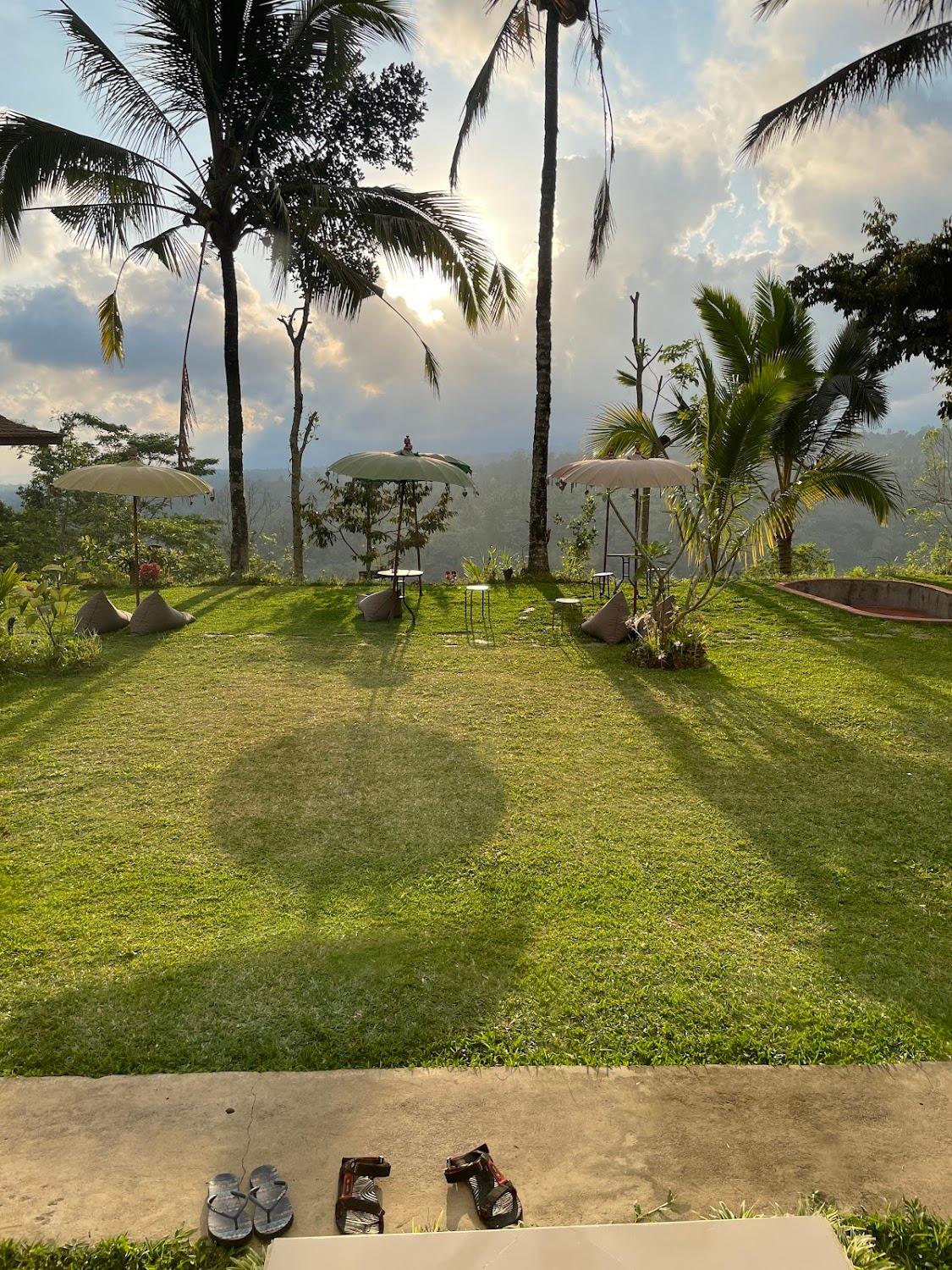 Cover Image for Ritual Ubud
