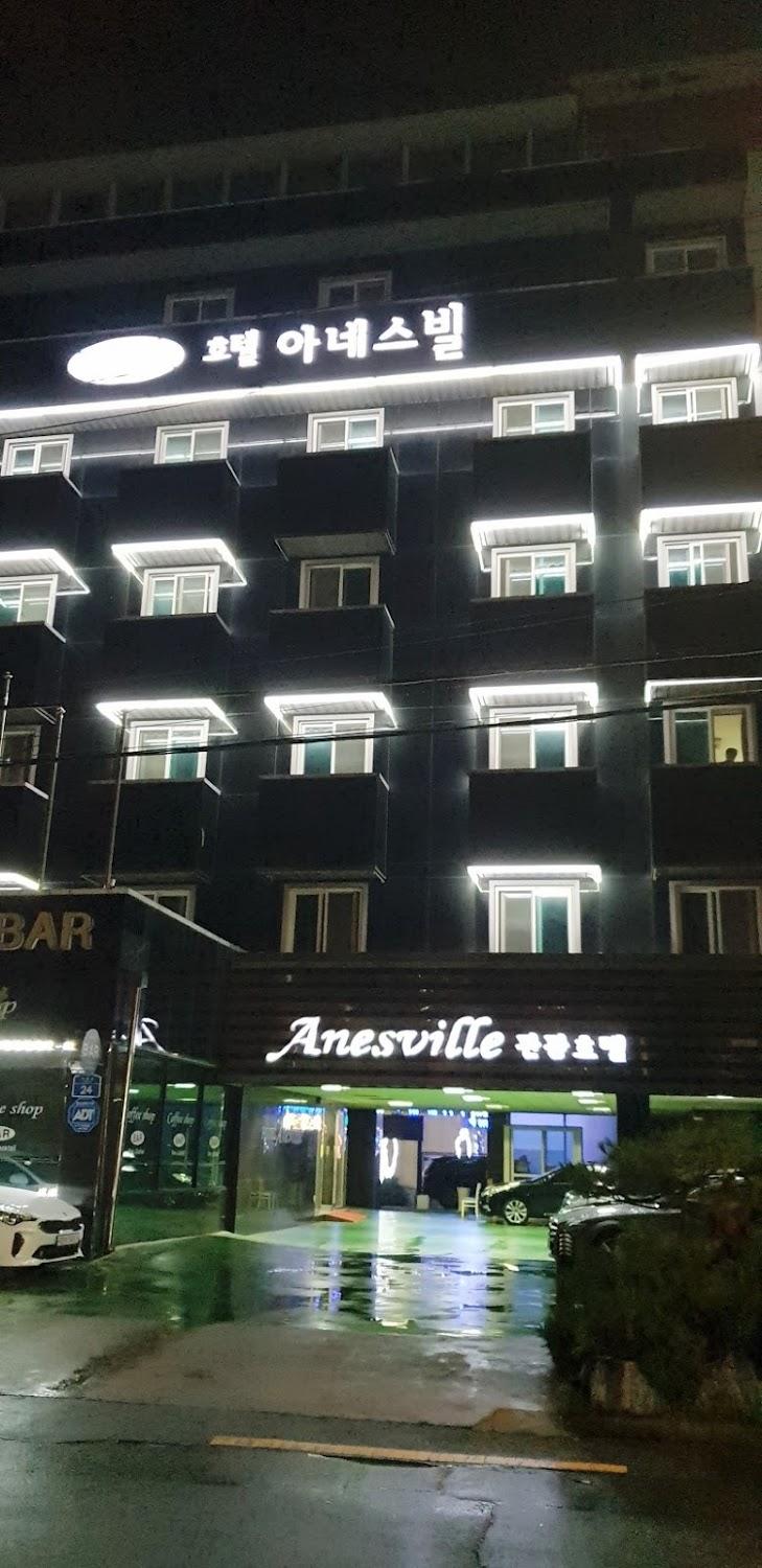 Cover Image for 아네스빌관광호텔