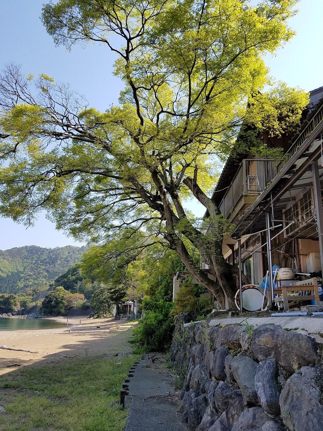 Cover Image for Minshuku Hamazu