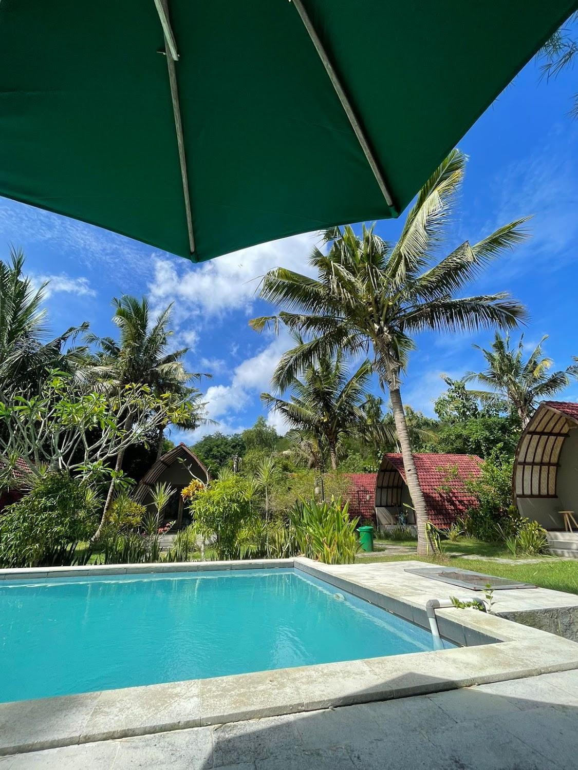 Cover Image for Pedidi Penida Hostel
