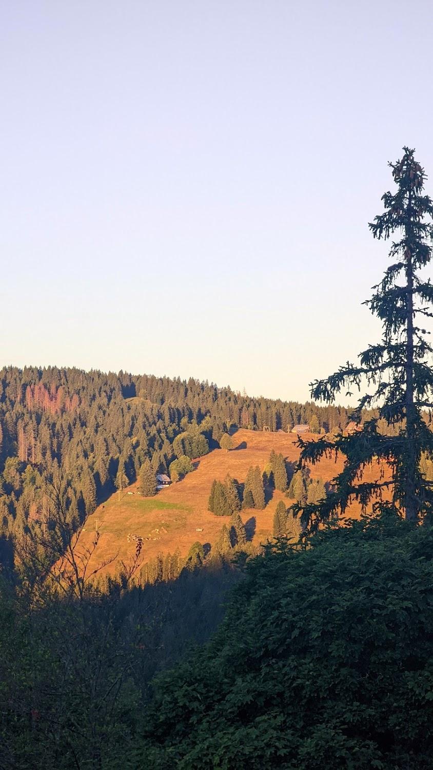 Cover Image for Zähringer Hütte