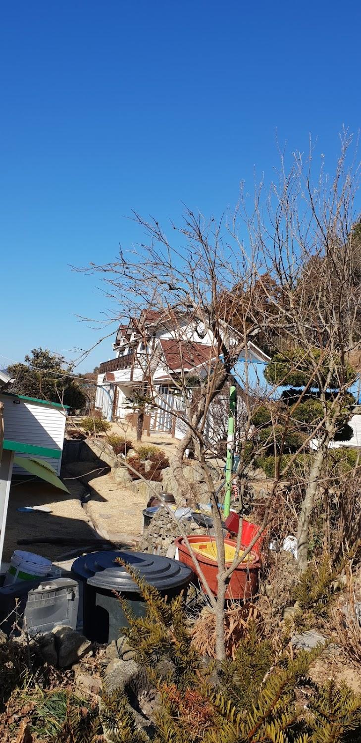 Cover Image for 산타루치아펜션