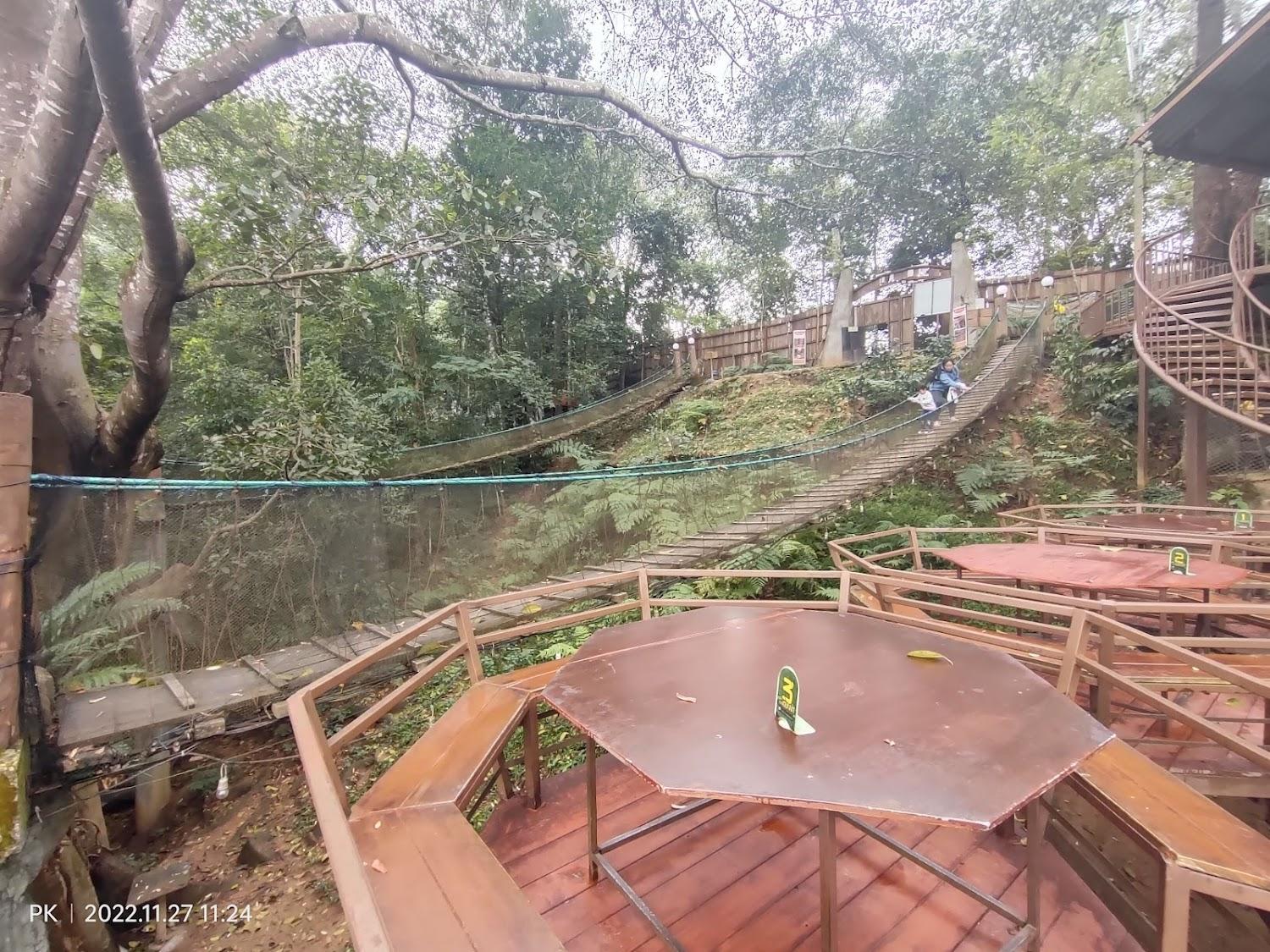 Cover Image for The Giant Chiangmai Thailand