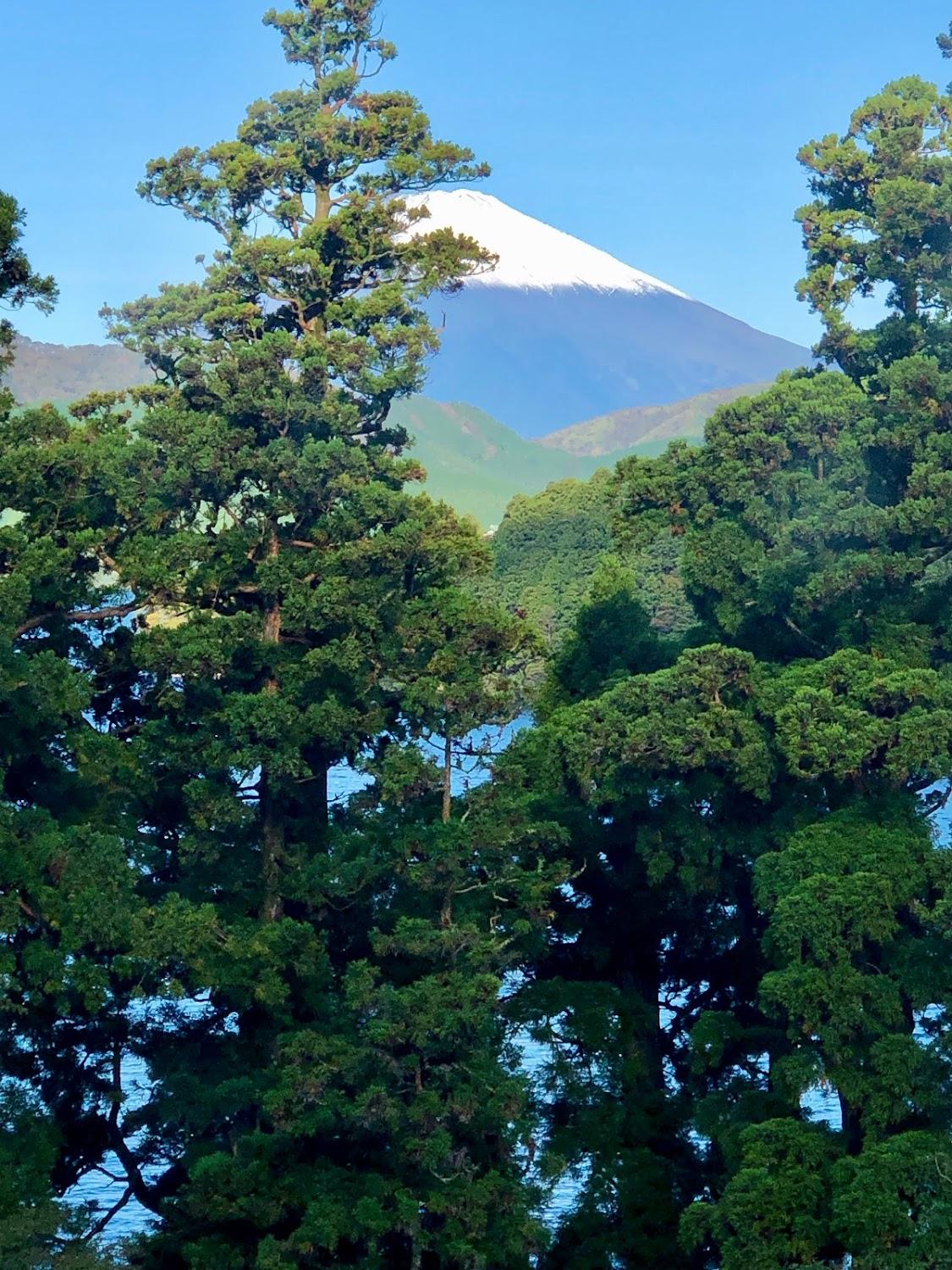 Cover Image for Hananoyado Fukuya