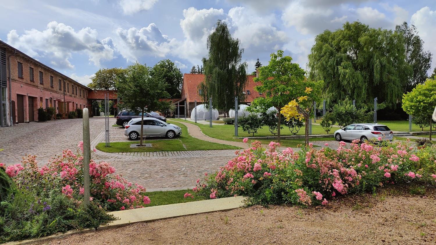 Cover Image for Hotel und Restaurant Am Peenetal - Gutshof Liepen GmbH