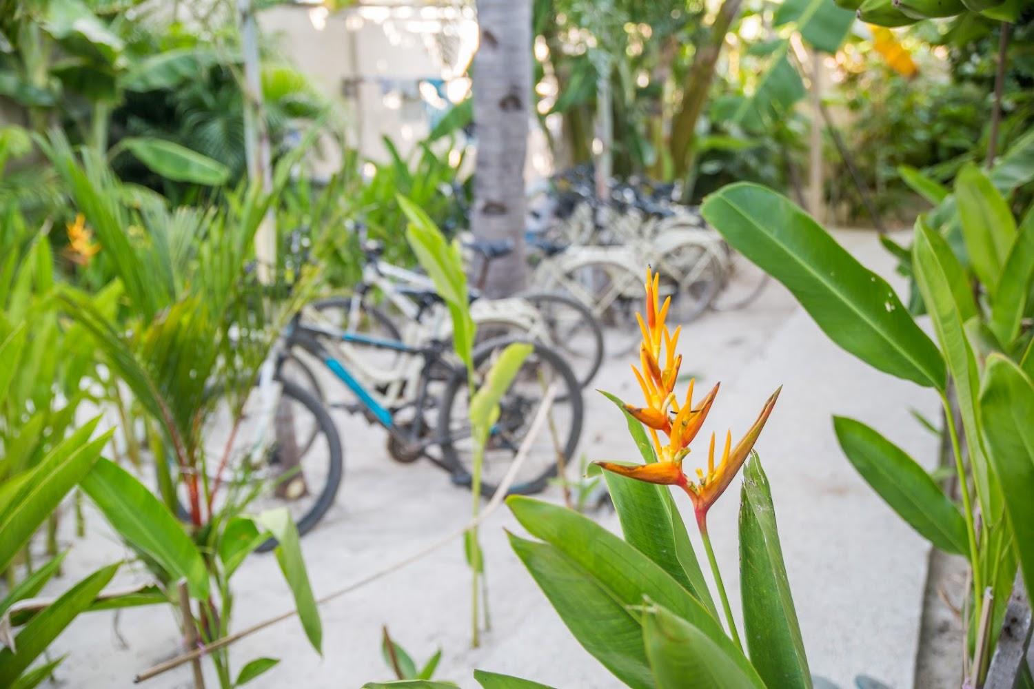 Cover Image for Villa-Gili-Bali-Beach