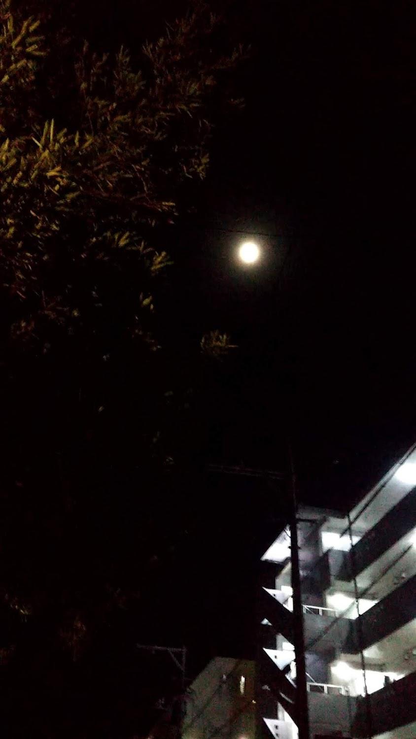 Cover Image for 民宿さくま