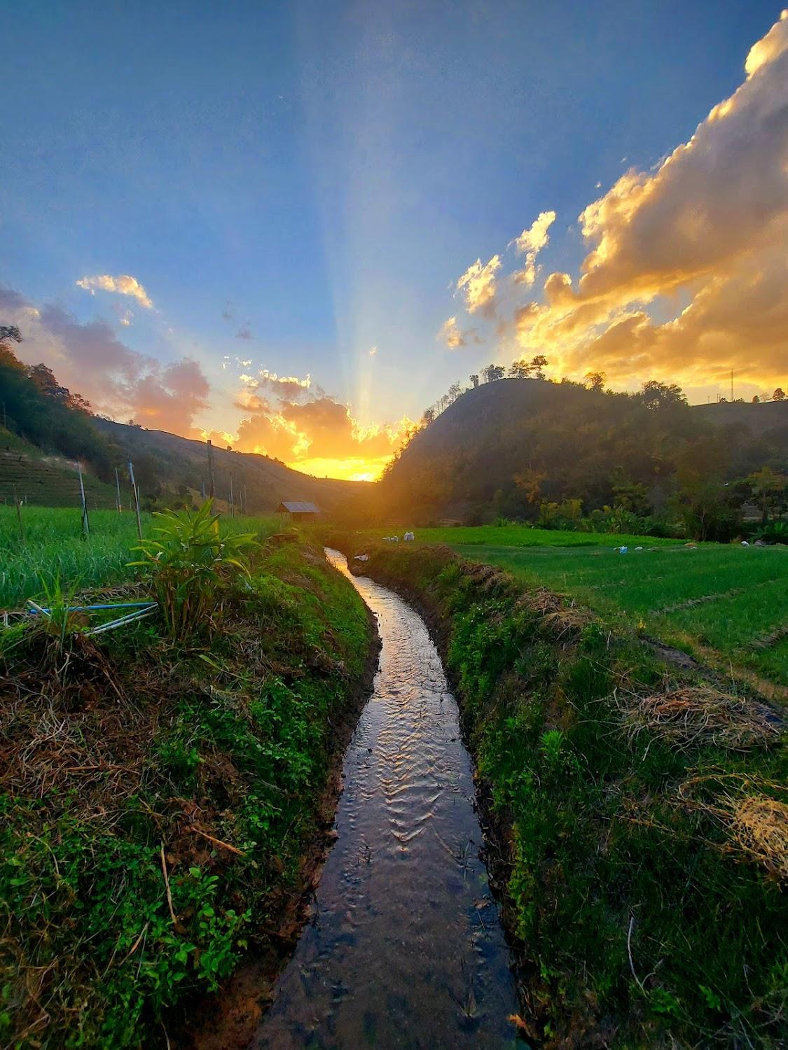Cover Image for Kowit Farmstay