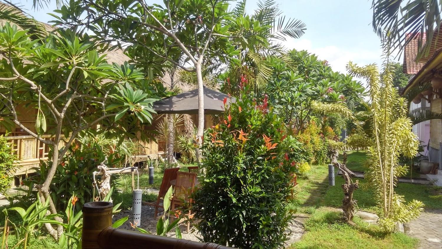 Cover Image for Java Sunrise Homestay