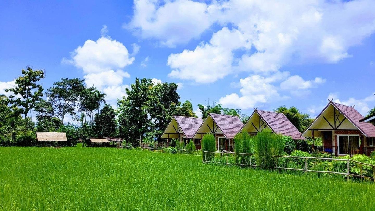 Cover Image for ฮ้างนาตาจันทร์