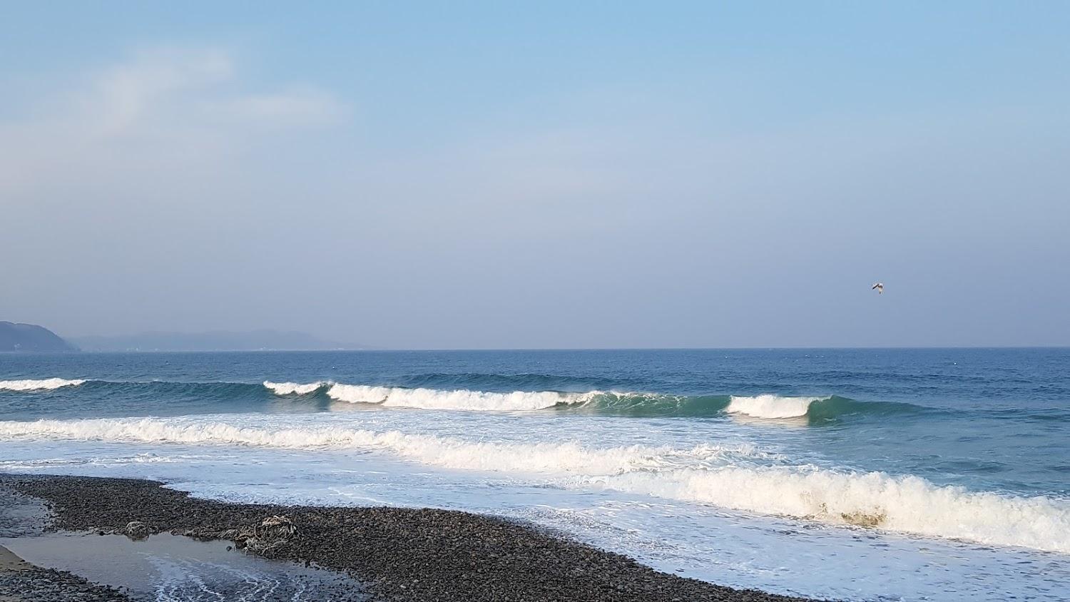 Cover Image for 블루베이펜션