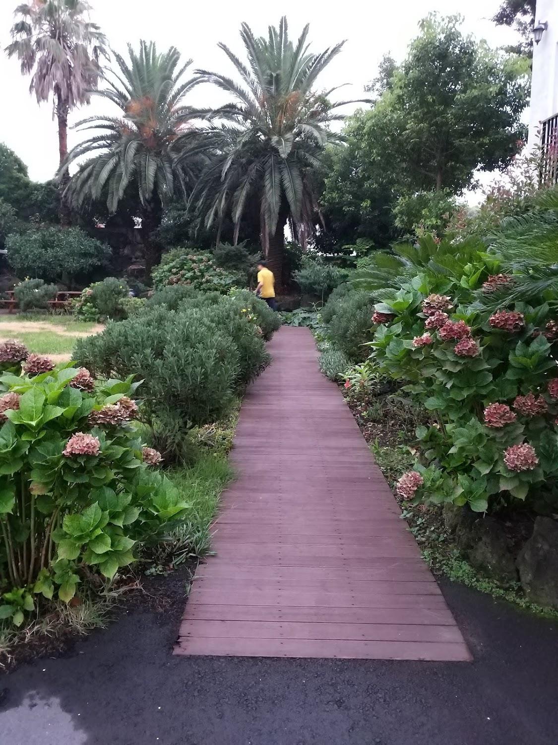 Cover Image for Jeju Yilin Pension